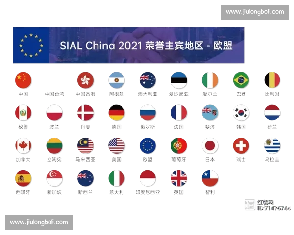 爱尔兰对阵乌拉圭比赛解析与战术走势及胜负关键前瞻全面深度